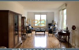 BEAUMONT SUR SARTHE / Grande maison familiale, gros potentiel, possibilité chambres d'hôtes